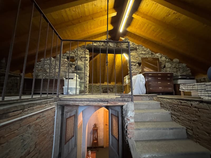 Vivere in una villa d'epoca a Cadro (12)