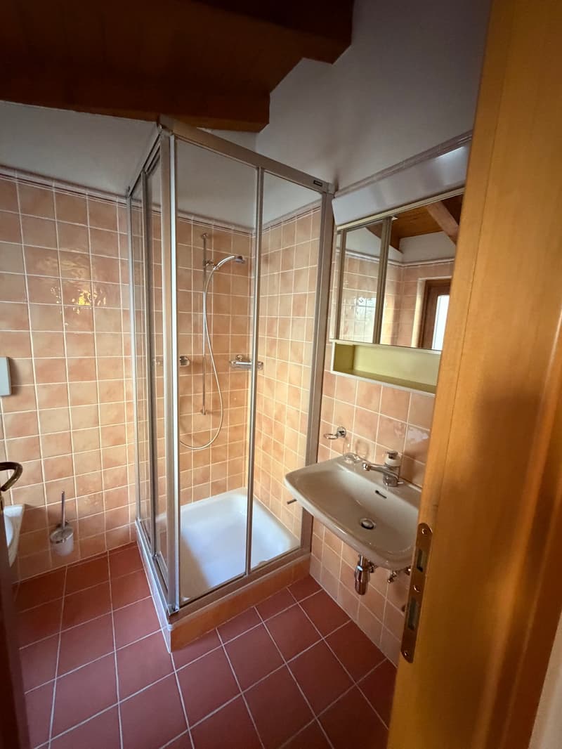 Haus mit 3.5 Zimmern in Bissone (10)