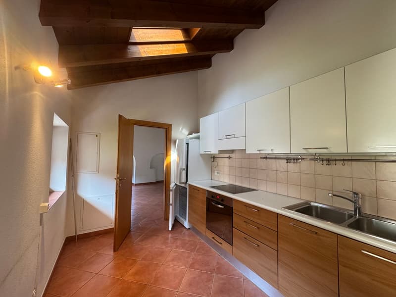 Großes 4.5-Zimmer-Duplex-Apartment in einem historischen Haus in Barbengo (3)