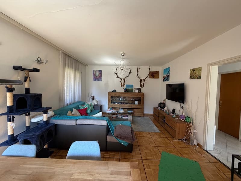 Casa bifamiliare 5.5 e 3.5 indipendente con giardino e box a Bodio (2)