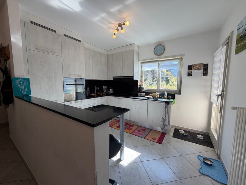 Casa bifamiliare 5.5 e 3.5 indipendente con giardino e box a Bodio (5)