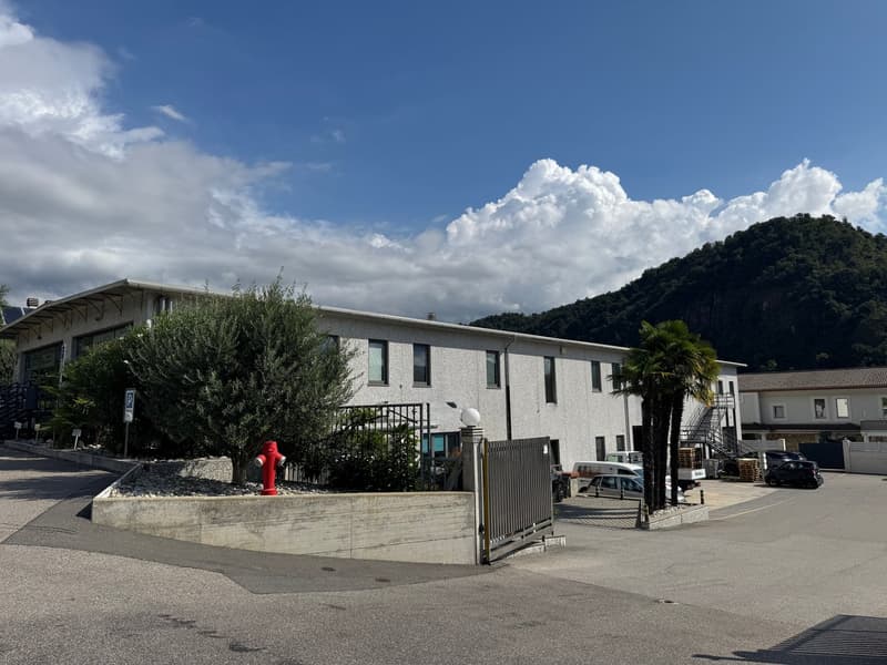 Kommunale gewerbliche Immobilie mit Einnahmen und Wohnung in Bedano (4)