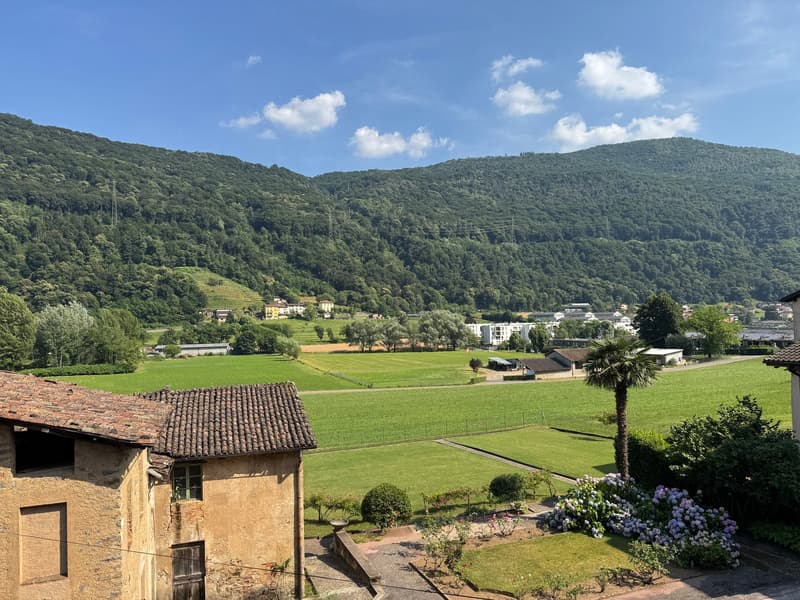 Grande appartamento duplex di 4.5 locali in casa storica a Barbengo (7)