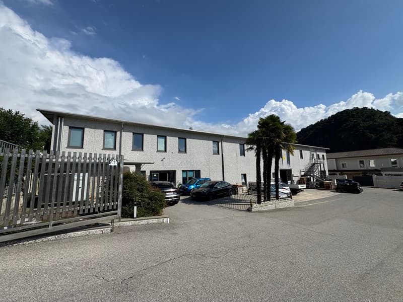 Immobile commerciale artigianale a reddito con abitazione a Bedano (3)