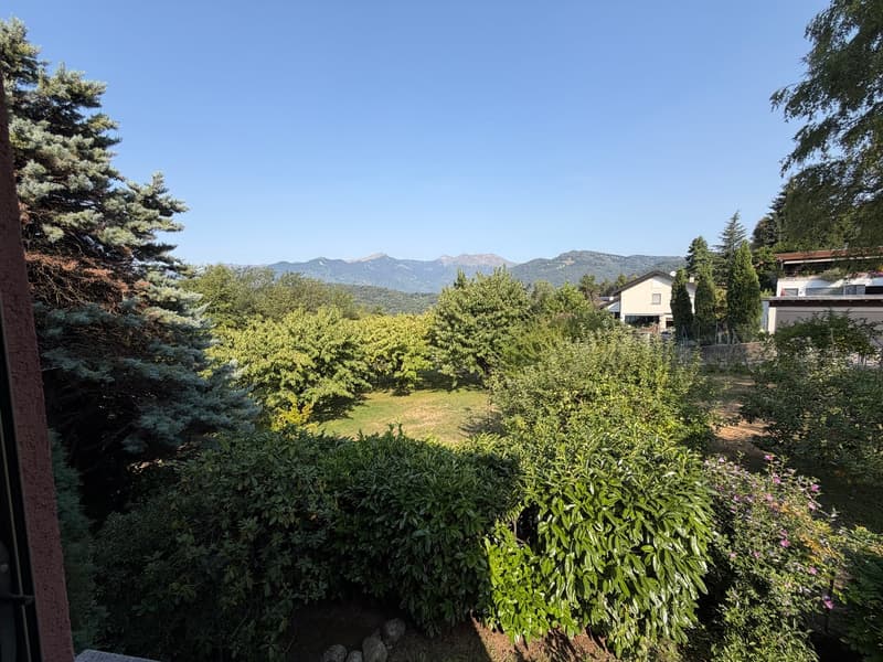 Grande villa signorile anni 70 di 7.5 locali con piscina a Lugano Cadro (15)