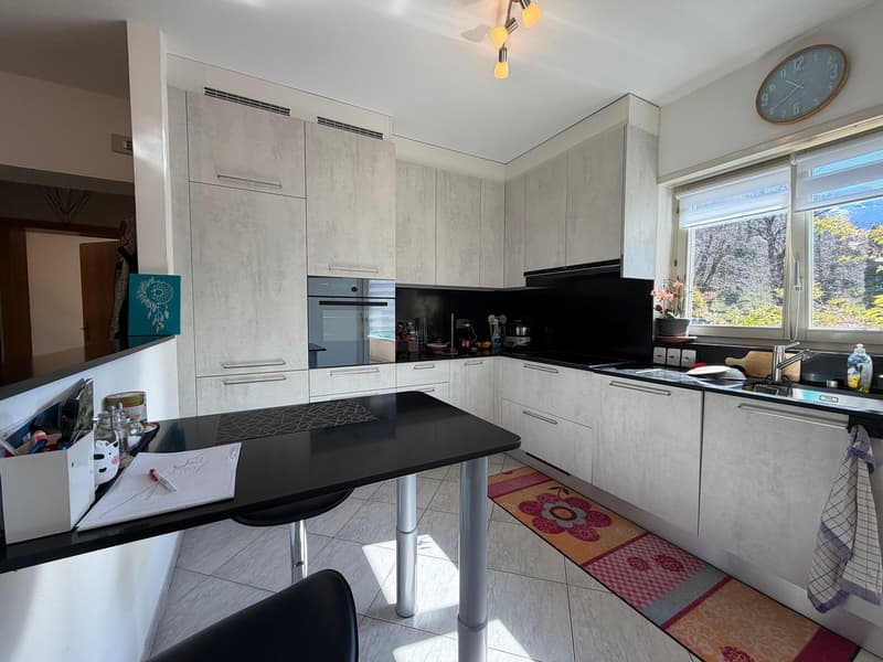Casa bifamiliare 5.5 e 3.5 indipendente con giardino e box a Bodio (2)