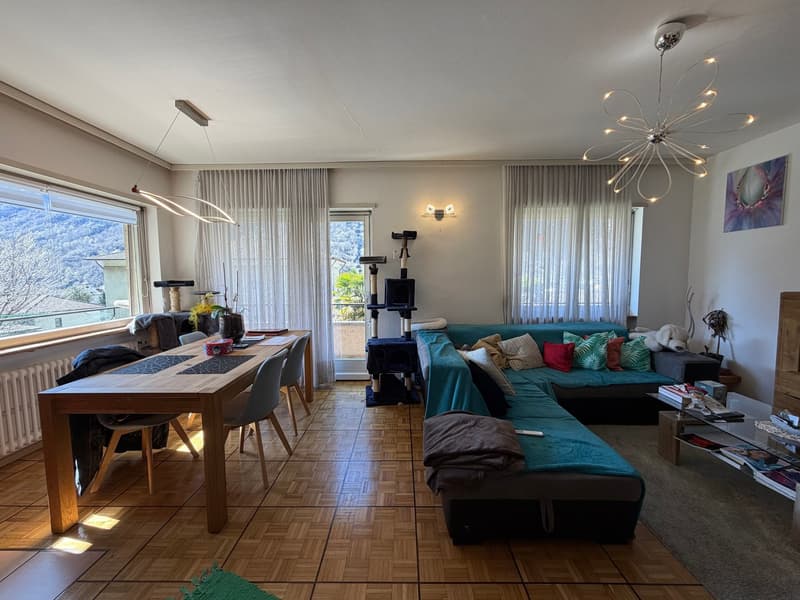Casa bifamiliare 5.5 e 3.5 indipendente con giardino e box a Bodio (4)
