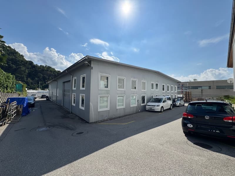 Immobile commerciale artigianale a reddito con abitazione a Bedano (3)