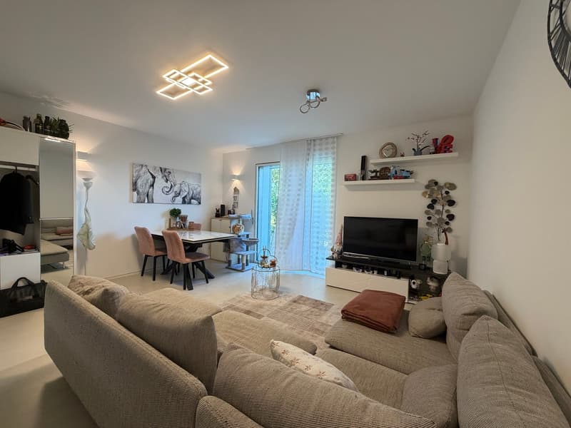 Moderno appartamento 2.5 loc. con giardino e piscina a Breganzona (3)