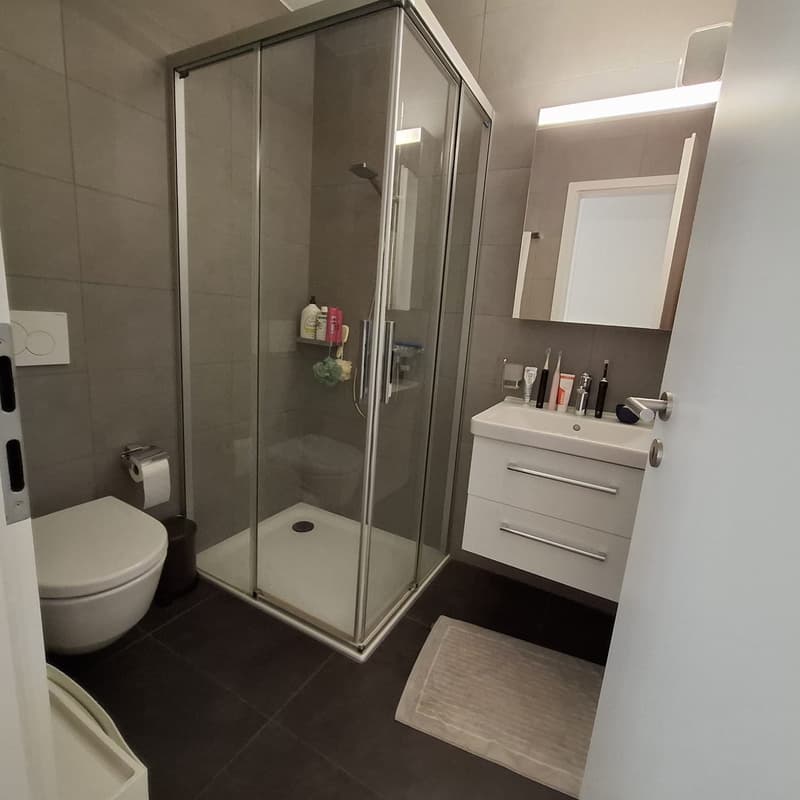 Elegante appartamento di 3.5 locali a Lugano Figino (8)