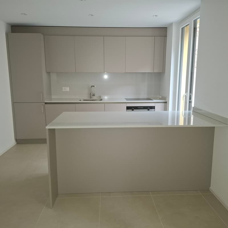 Moderno appartamento 4.5 locali a Cadro con ampia terrazza (3)