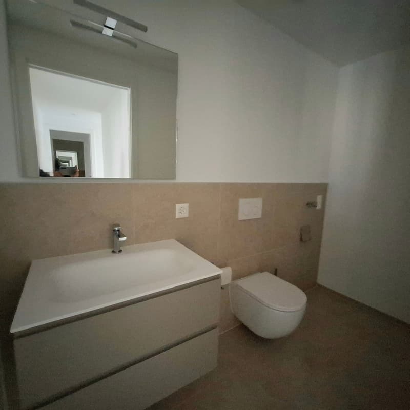 Moderno appartamento 4.5 locali a Cadro con ampia terrazza (9)