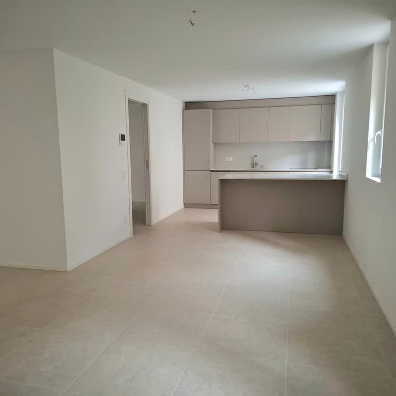Moderno appartamento 4.5 locali a Cadro con ampia terrazza (2)