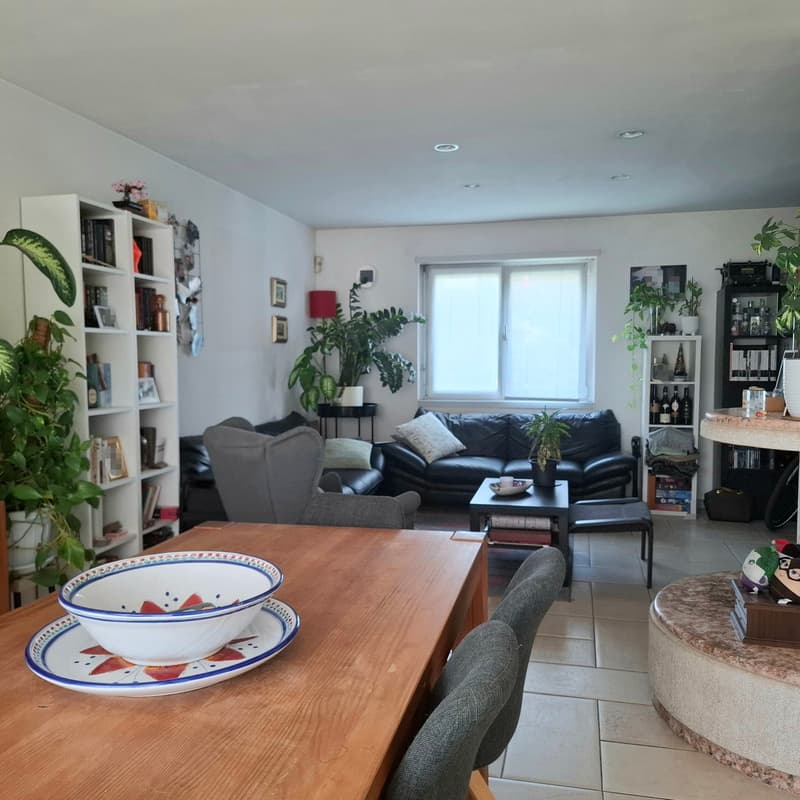 Casa monofamiliare 5.5 locali a Mendrisio Rancate (3)