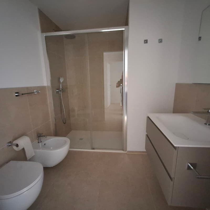 Moderno appartamento 4.5 locali a Cadro con ampia terrazza (10)