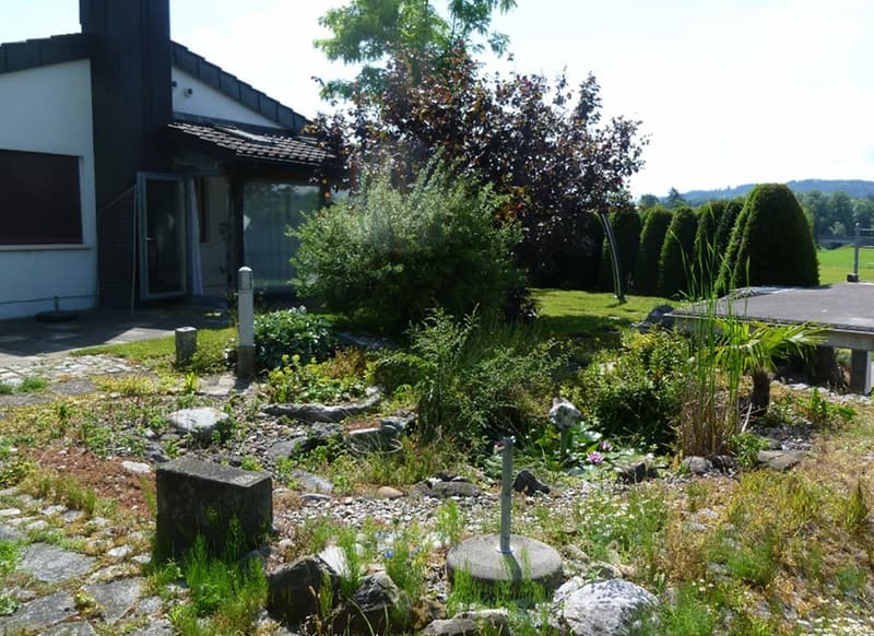 Naturgarten, Biotop und Gemüsegarten
