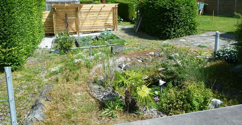 Naturgarten, Biotop und Gemüsegarten