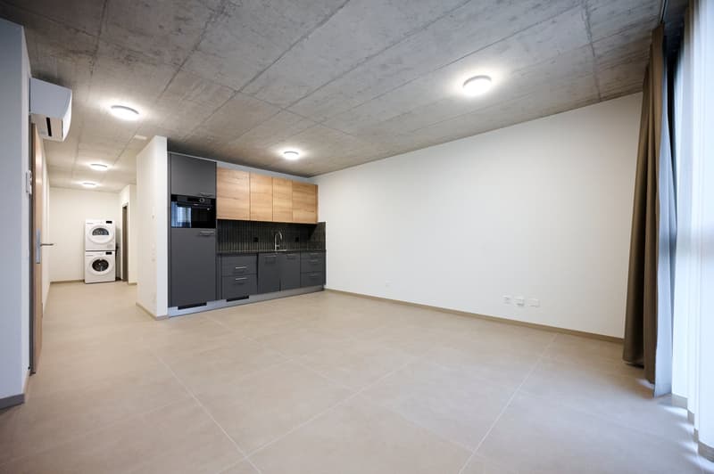 Moderno appartamento (n. 9) di 2.5 locali a Bellinzona (7)