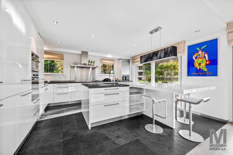 Magnifique duplex de 7.5 pièces avec terrasse et jardin privatif à Pully (2)