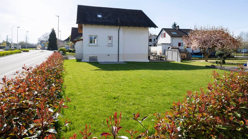 Green lawn, red and green bushes, house in the background