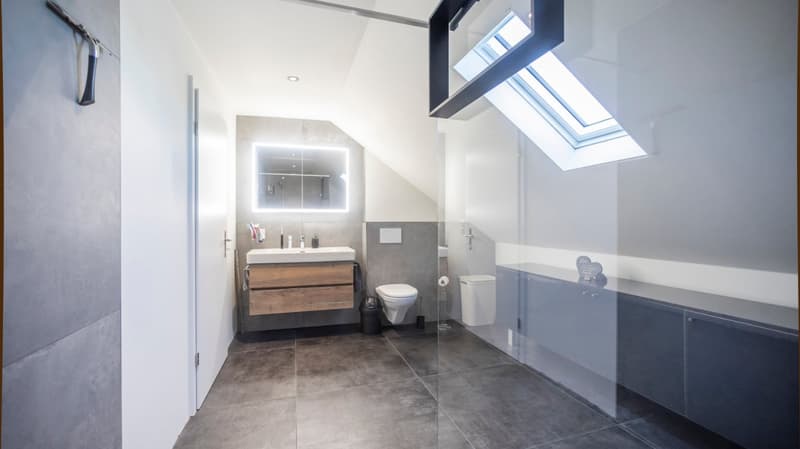 modern bathroom with gray tiles, white sink, wooden cabinet, glass shower, skylight, toilet, trash can