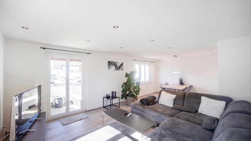 modern living room with gray sofa, wooden floor, sliding glass door, balcony, TV, coffee table, potted plant