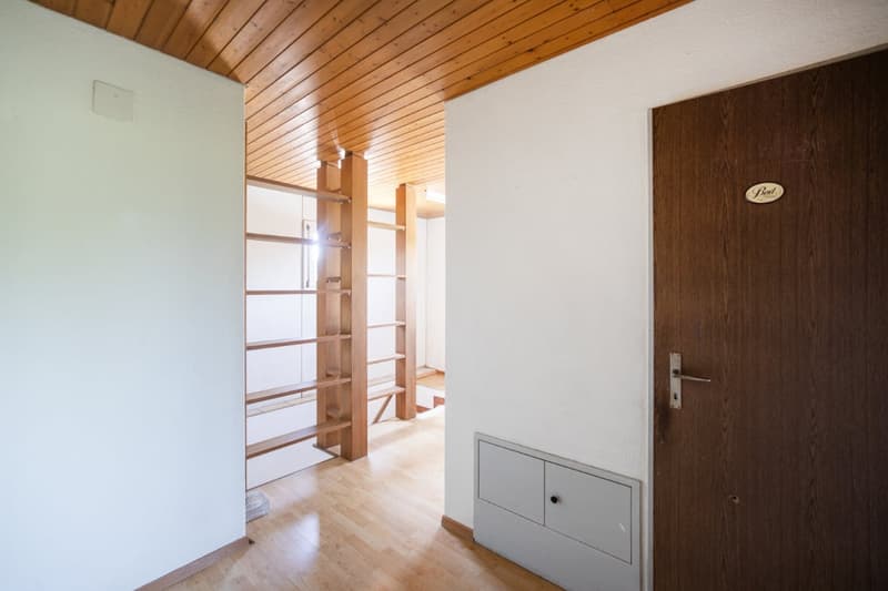 Living on the outskirts of the village: 5.5 room single-family house directly on the agricultural zone (17)