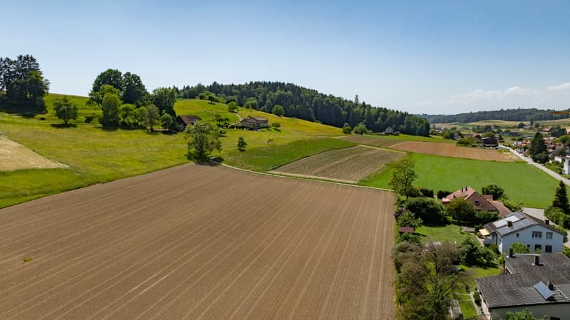 Living on the outskirts of the village: 5.5 room single-family house directly on the agricultural zone (8)