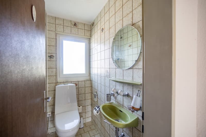 Living on the outskirts of the village: 5.5 room single-family house directly on the agricultural zone (19)