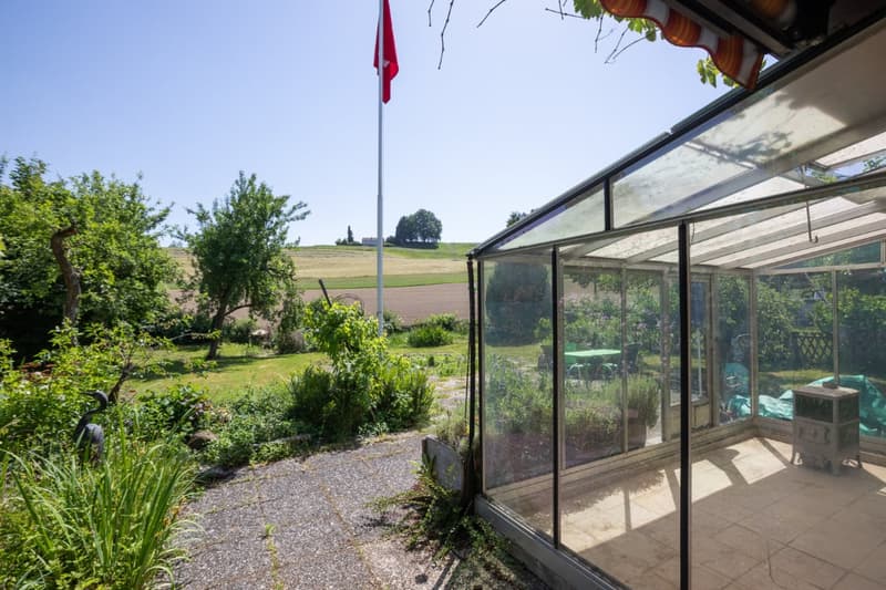 Living on the outskirts of the village: 5.5 room single-family house directly on the agricultural zone (5)
