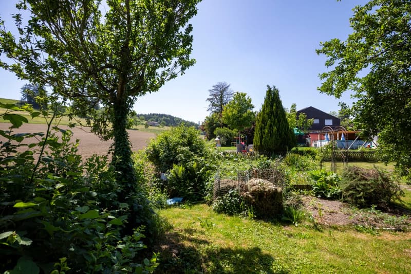 Living on the outskirts of the village: 5.5 room single-family house directly on the agricultural zone (6)