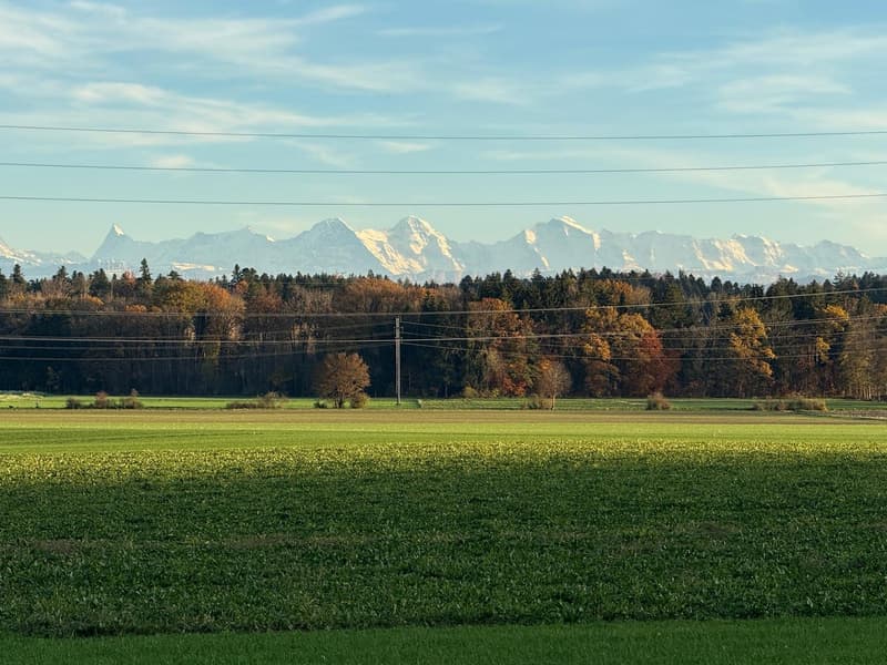 Modernes Wohnen im Buechibärg (6)
