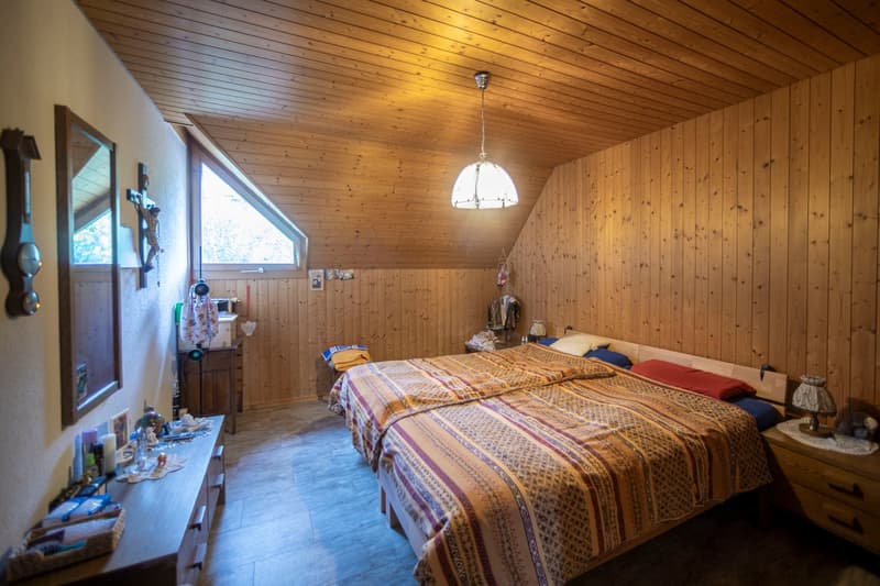 Ferme avec cinq appartements à louer (13)