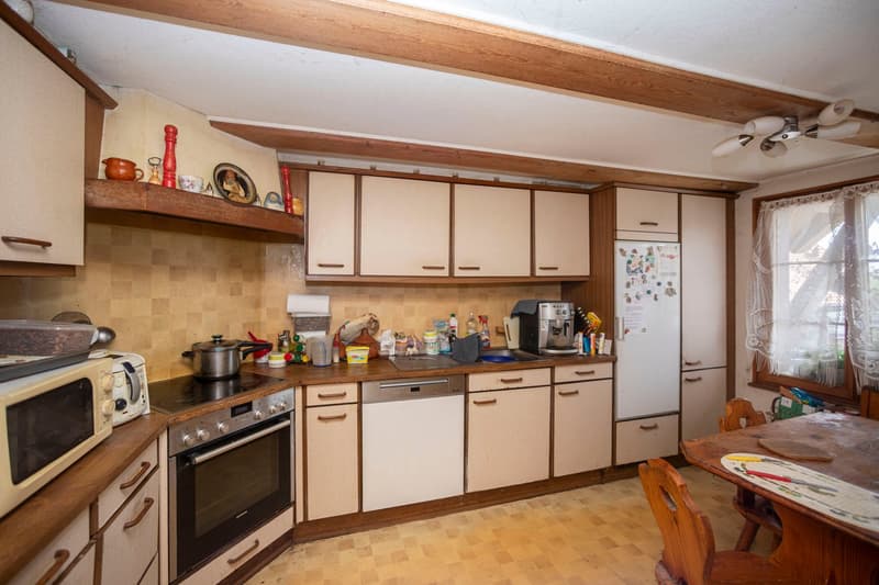 Ferme avec cinq appartements à louer (12)