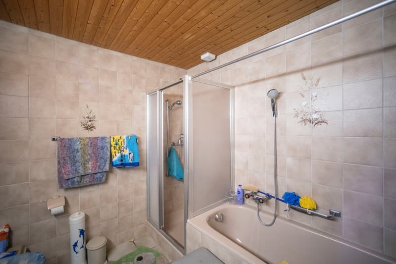 Ferme avec cinq appartements à louer (14)