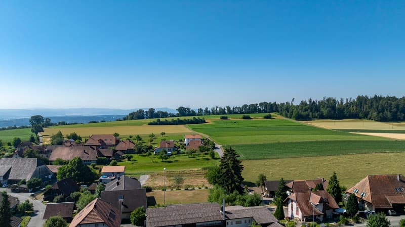 Ferme avec cinq appartements à louer (16)