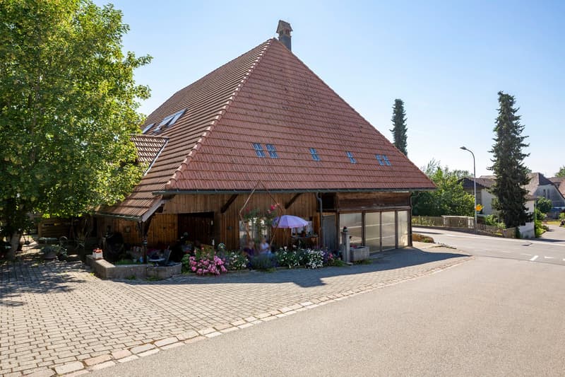 Ferme avec cinq appartements à louer (3)