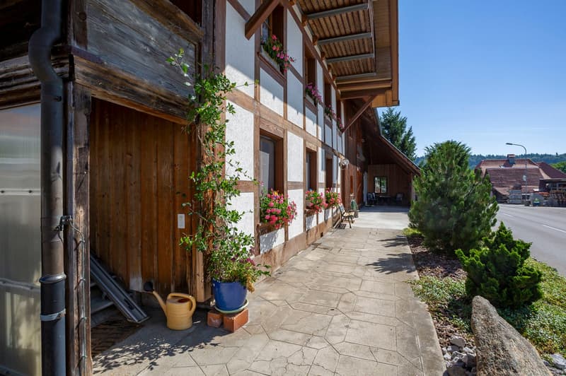 Ferme avec cinq appartements à louer (6)
