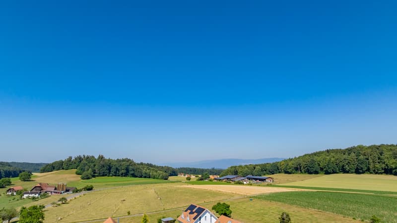 Ferme avec cinq appartements à louer (15)