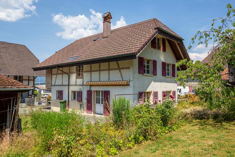 Cottage with 2 apartments and large garden (2)