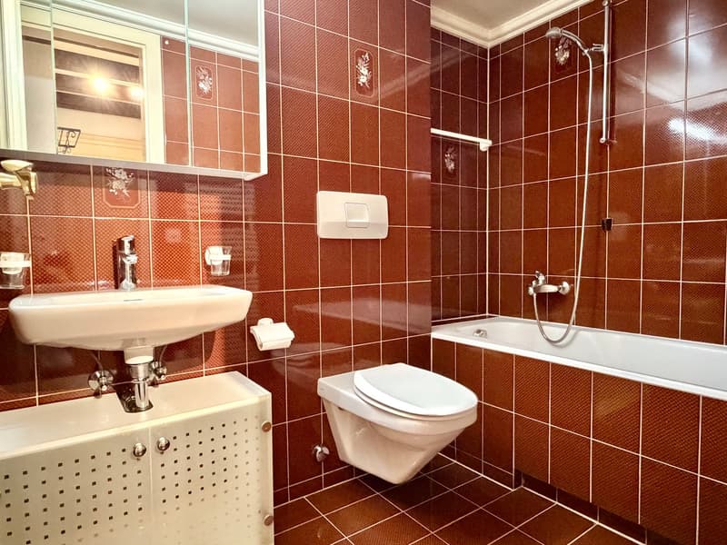Magnificent spacious duplex with mezzanine and loft (7)