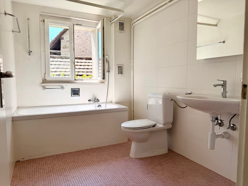 A haven of peace in the heart of the village! With private courtyard (7)