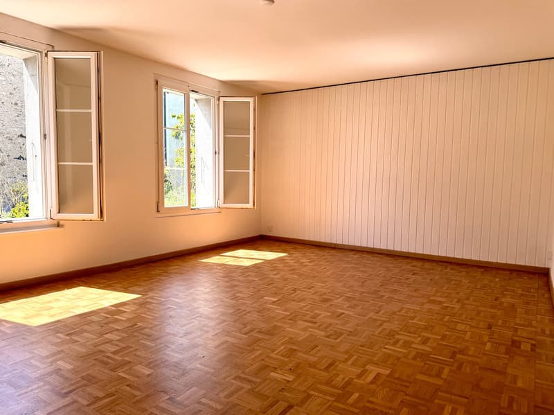 A haven of peace in the heart of the village! With private courtyard (5)