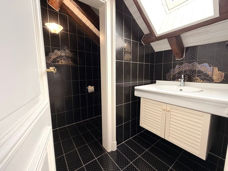 Spacious duplex with mezzanine and loft (6)