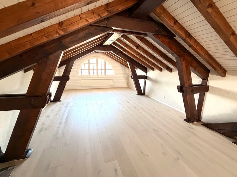 Spacious duplex with mezzanine and loft (4)