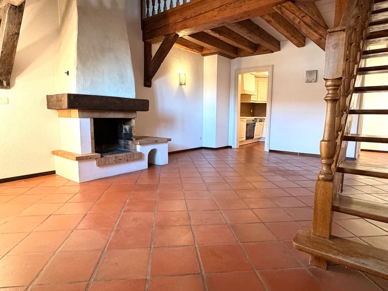 Spacious duplex with mezzanine and loft (3)