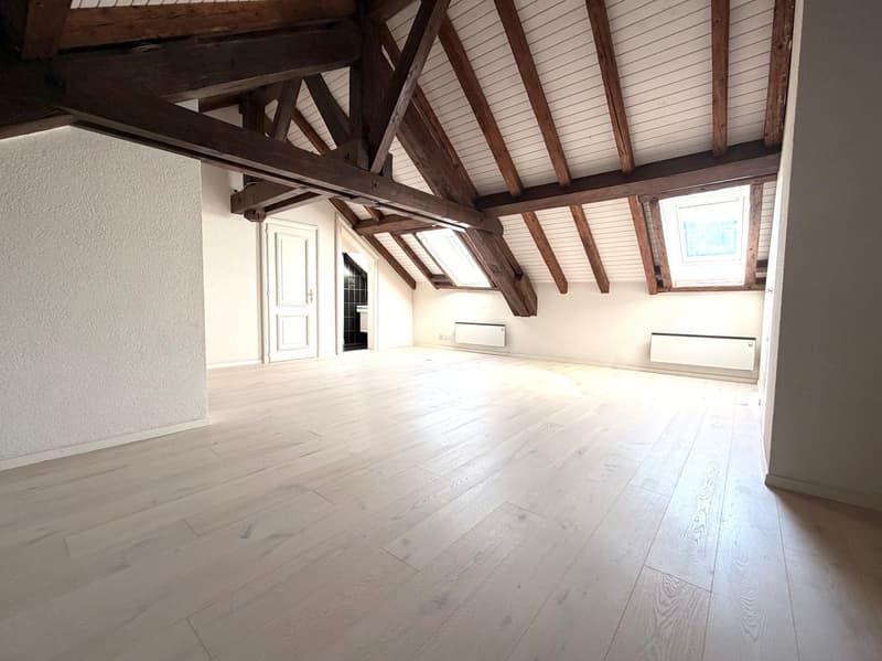 Spacious duplex with mezzanine and loft (5)