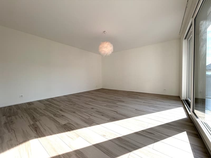 Spacieux et lumineux avec grande terrasse (9)
