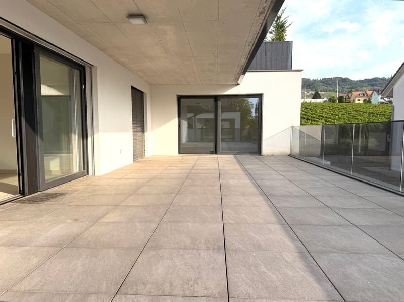 Spacieux et lumineux avec grande terrasse (3)