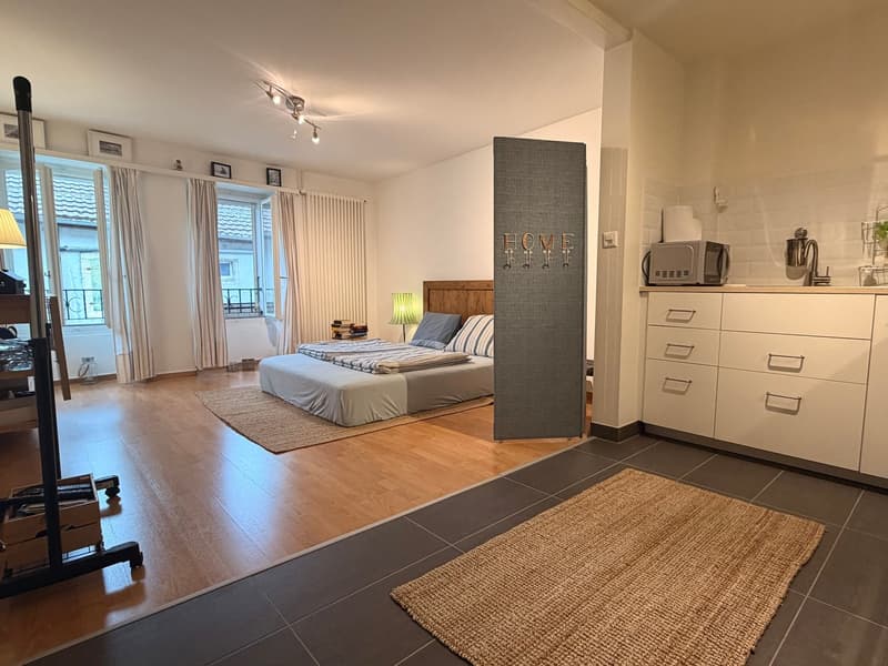 Magnifique studio cosy et lumineux (1)
